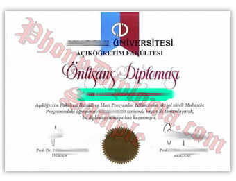 Anadolu Universitesi (1) - Fake Diploma Sample from Turkey